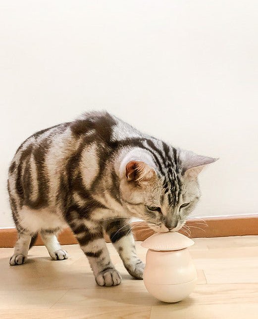 2 - in - 1 Laser Teaser & Self - Play Cat Tumbler Toy - Coco & Harley - Pet Care > Toys > Cat Toys - V1091-2312291655