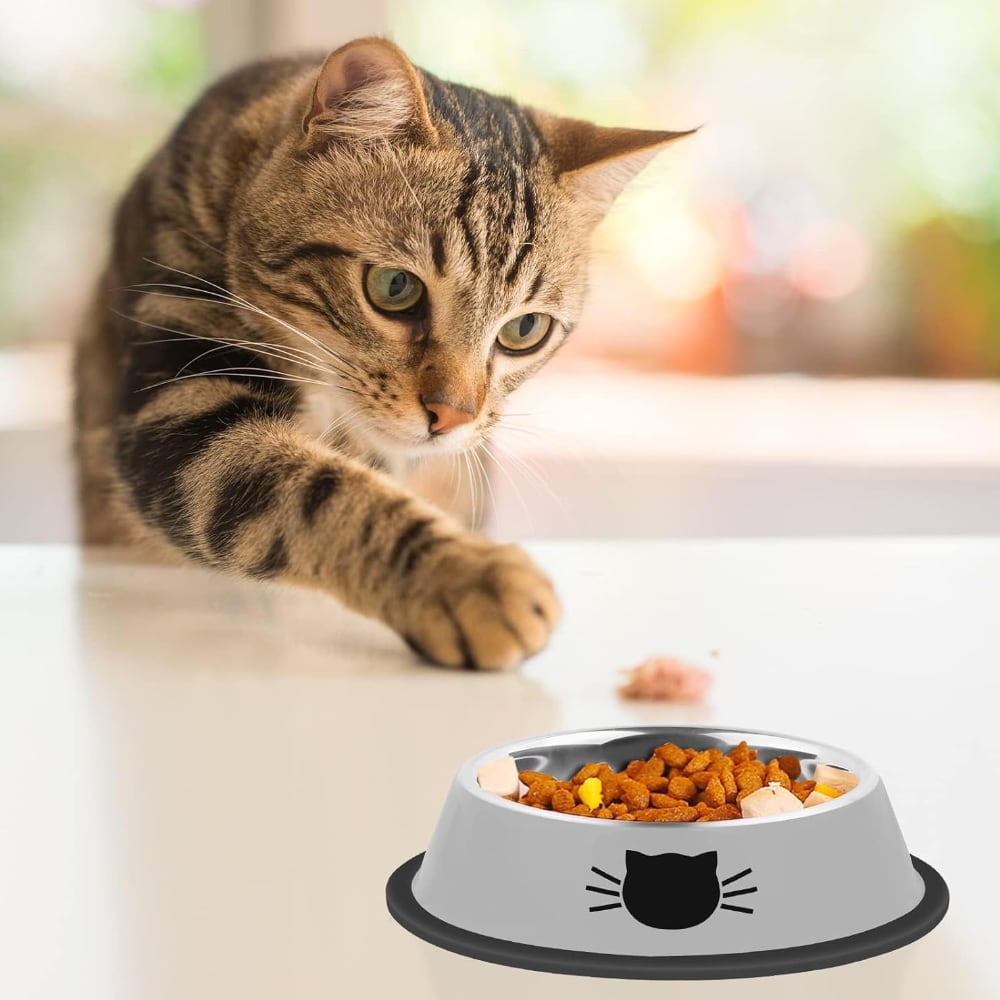 Non-Slip Stainless Steel Cat Food Bowls