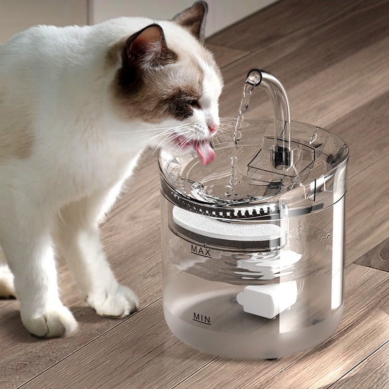 Water Fountains - Coco & Harley