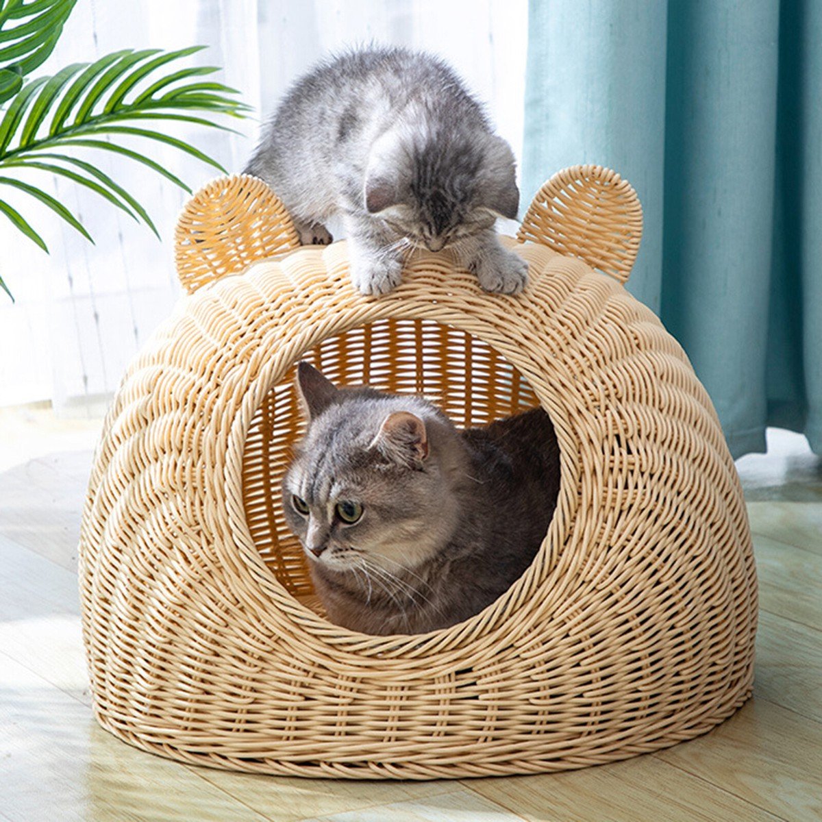 Beds, Nests & Perches - Coco & Harley