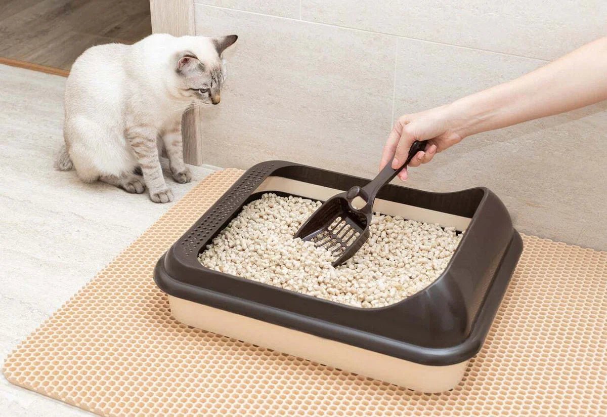 Litter & Clean Living - Coco & Harley