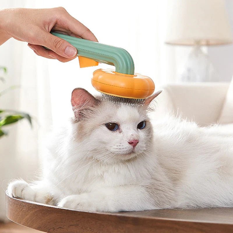Care & Grooming - Coco & Harley