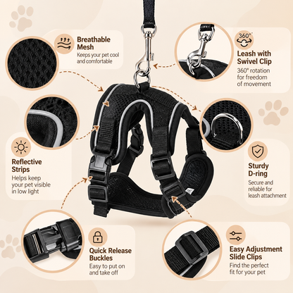 Adjustable Cat Harness and Leash Set - Small