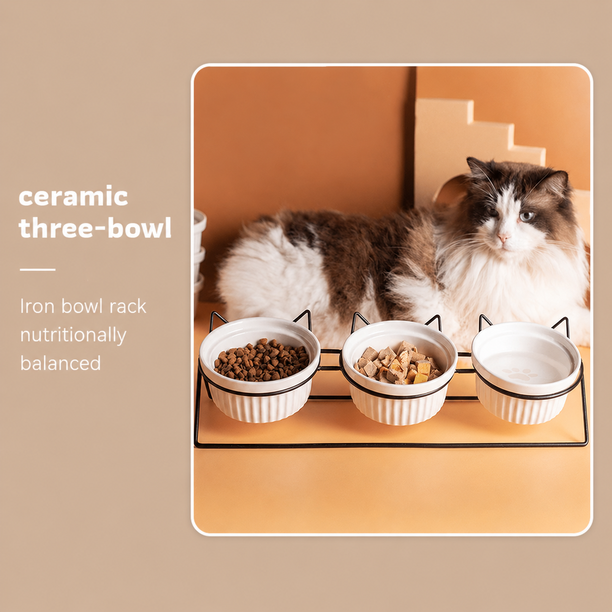 Triple Slanted Ceramic Pet Feeding Station with cat laying in the background
