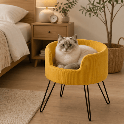 i.Pet Calming, Raised Cat Bed - Coco & Harley - Pet Care > Cat Supplies > Cat Furniture - PET-SBED-VEL-YE