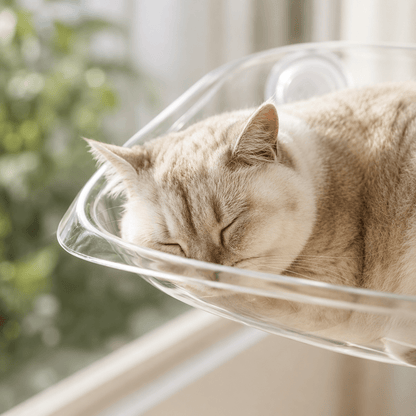 Cat Clear Window Perch - Coco & Harley - Pet Care > Cat Supplies > Cat Furniture - V528-HAMMOCK-WHITE-479223