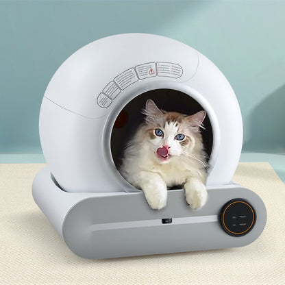 Cat inside a smart litter box with a light grey background