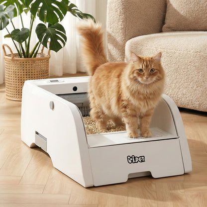 i.pet Automatic Cat Litter Box