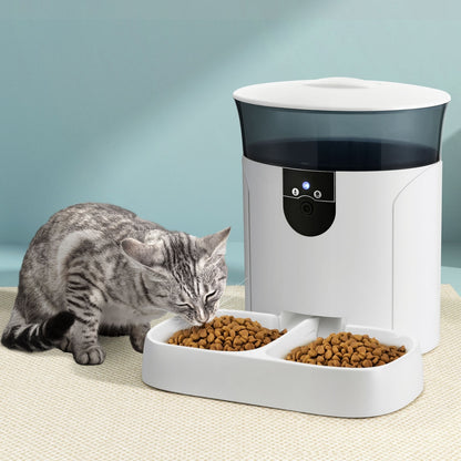 Cat feeding from an automatic pet feeder on a light blue background