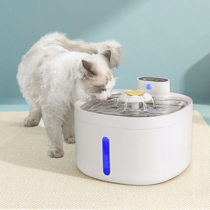 Cat drinking from a pet water fountain on a light-colored surface with a blue background