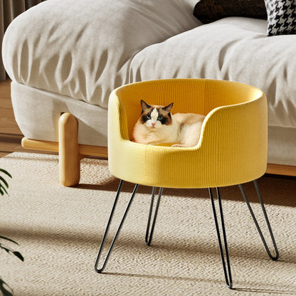 Cat lying in a yellow pet bed on a carpeted floor with a sofa in the background