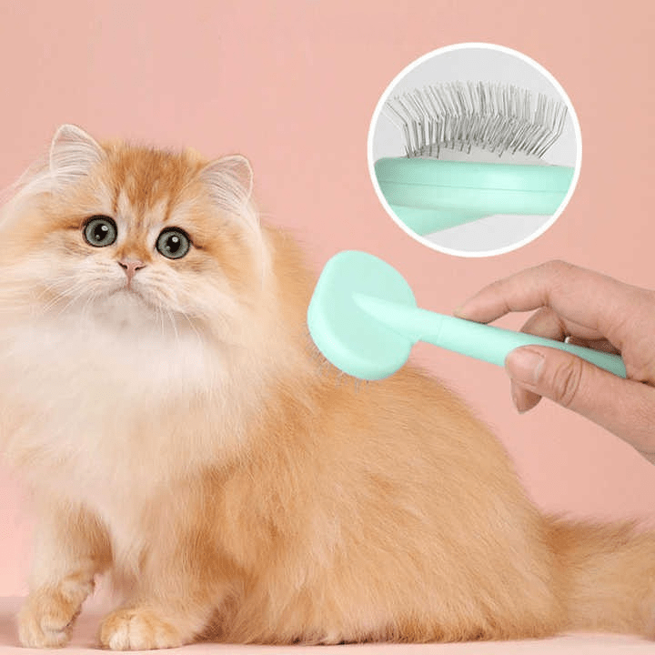 5 - in - 1 Pet Grooming Care Kit - Coco & Harley - Pet Care > Cleaning & Maintenance > Pet Cleaning Supplies - V888-ELOSUNG27736