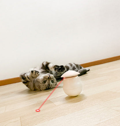 Cat playing with a toy on a wooden floor