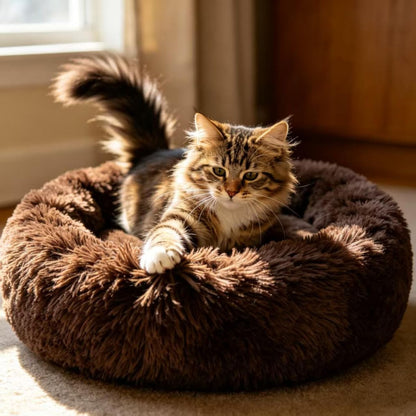 Cat Bed Fluffy Cat Bed Round Cat Bed Cat Furniture Cat Comfort Cat Sleeping Bed - Dark Brown / 20in