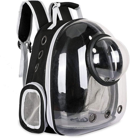 Black and clear cat backpack with bubble design on a white background