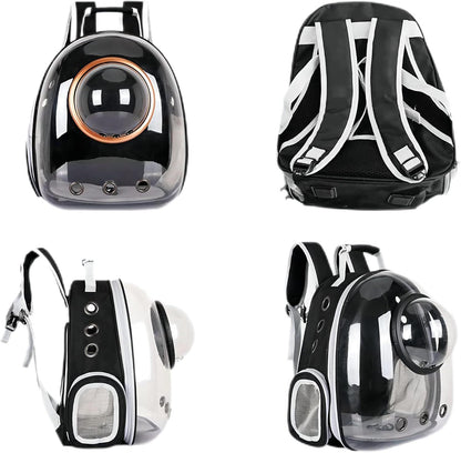 Black and clear cat backpack with spherical design on a white background