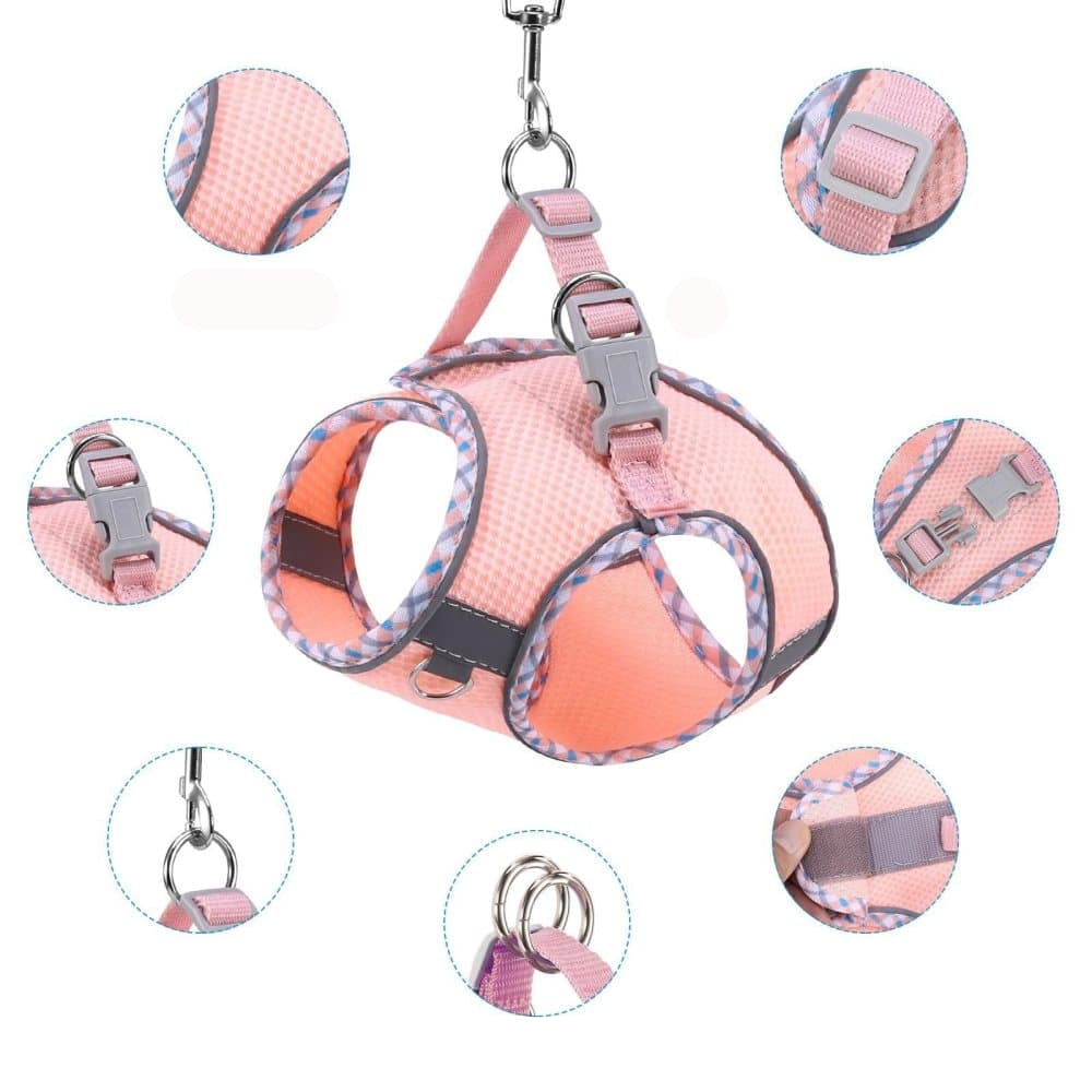 Cat harness with multiple features highlighted on a white background