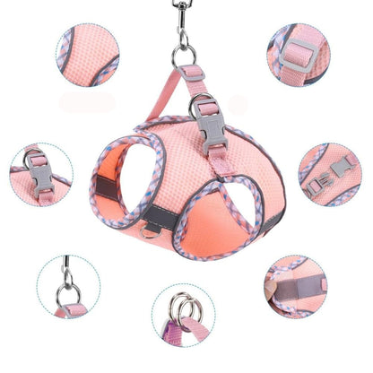 Cat harness with multiple features highlighted on a white background