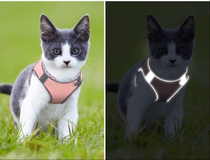Adjustable Cat Harness with Leash
