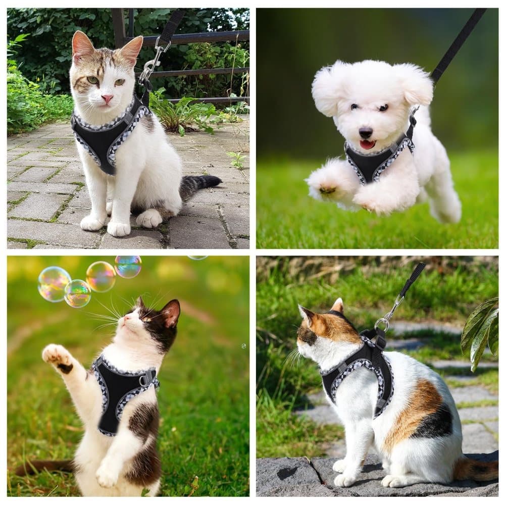 Adjustable Cat Harness with Leash