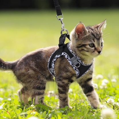 Adjustable Cat Harness with Leash