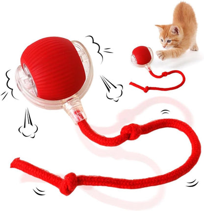 Smart Interactive Cat Ball Toy - Coco & Harley - Pet Care > Toys > Cat Toys - V1188-MS101-02403-1