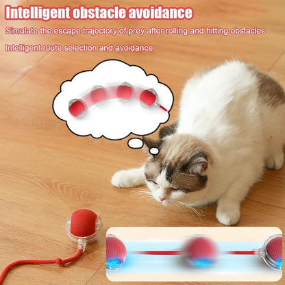 Smart Interactive Cat Ball Toy - Coco & Harley - Pet Care > Toys > Cat Toys - V1188-MS101-02403-1