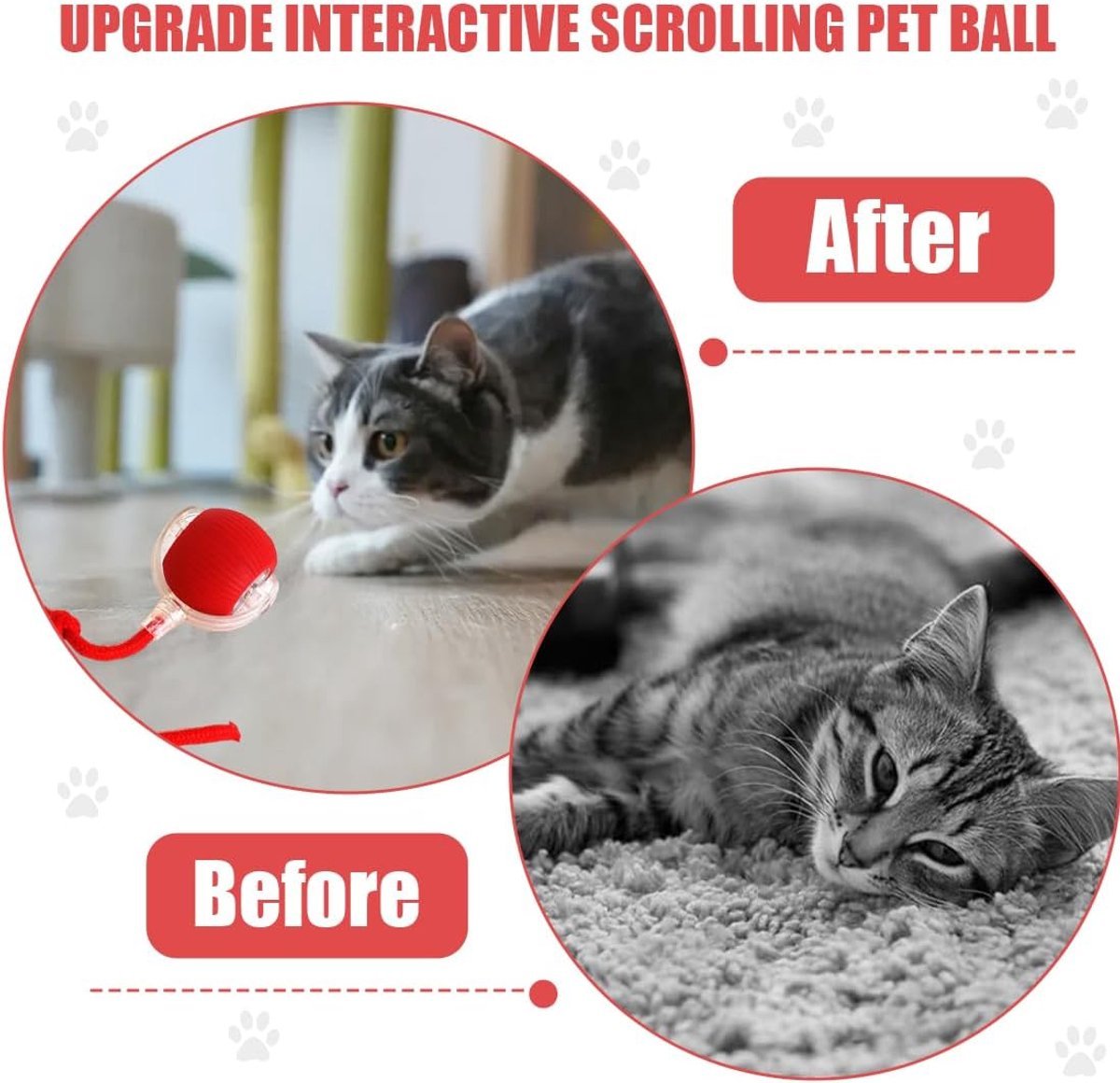 Smart Interactive Cat Ball Toy - Coco & Harley - Pet Care > Toys > Cat Toys - V1188-MS101-02403-1