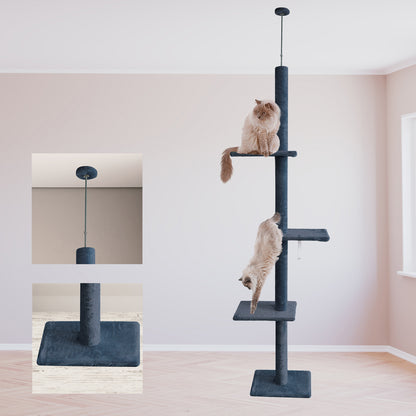 Cat climbing a multi-level cat tree in a room with a mirror reflection.
