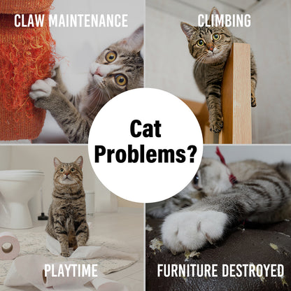 Collage of cats engaging in various destructive activities like scratching furniture with text labels on a white background.