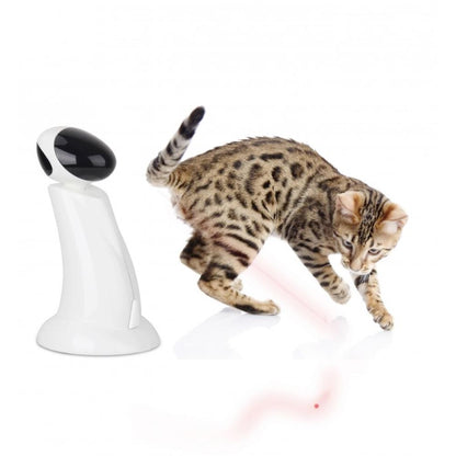 Cat playing with a laser pointer device on a white background