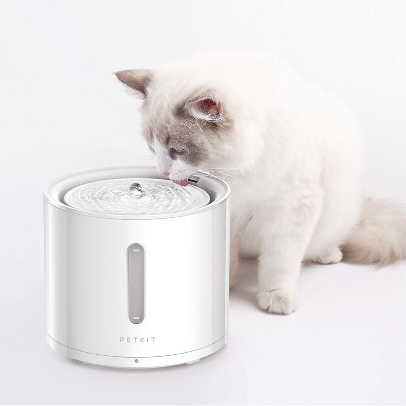 Cat drinking from the PETKIT Eversweet Solo 2 water fountain