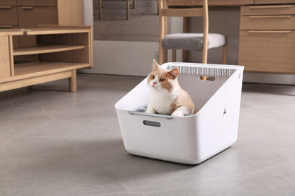 Cat inside a white litter box in a home setting
