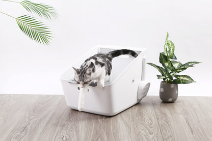 Cat using a modern litter box with plants on a light wood floor.