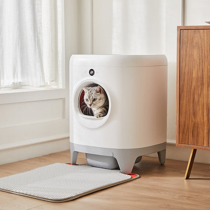 Modern smart cat litter box with a cat peeking out in a home setting