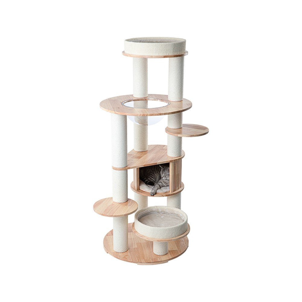 HONEYPOTCAT MZ Varnished Solid Wood Cat Tower With Capsule - 163cm - Coco & Harley - Pet Care > Cat Supplies > Cat Furniture - V390-V190328PRO