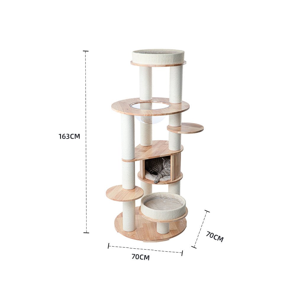HONEYPOTCAT MZ Varnished Solid Wood Cat Tower With Capsule - 163cm - Coco & Harley - Pet Care > Cat Supplies > Cat Furniture - V390-V190328PRO