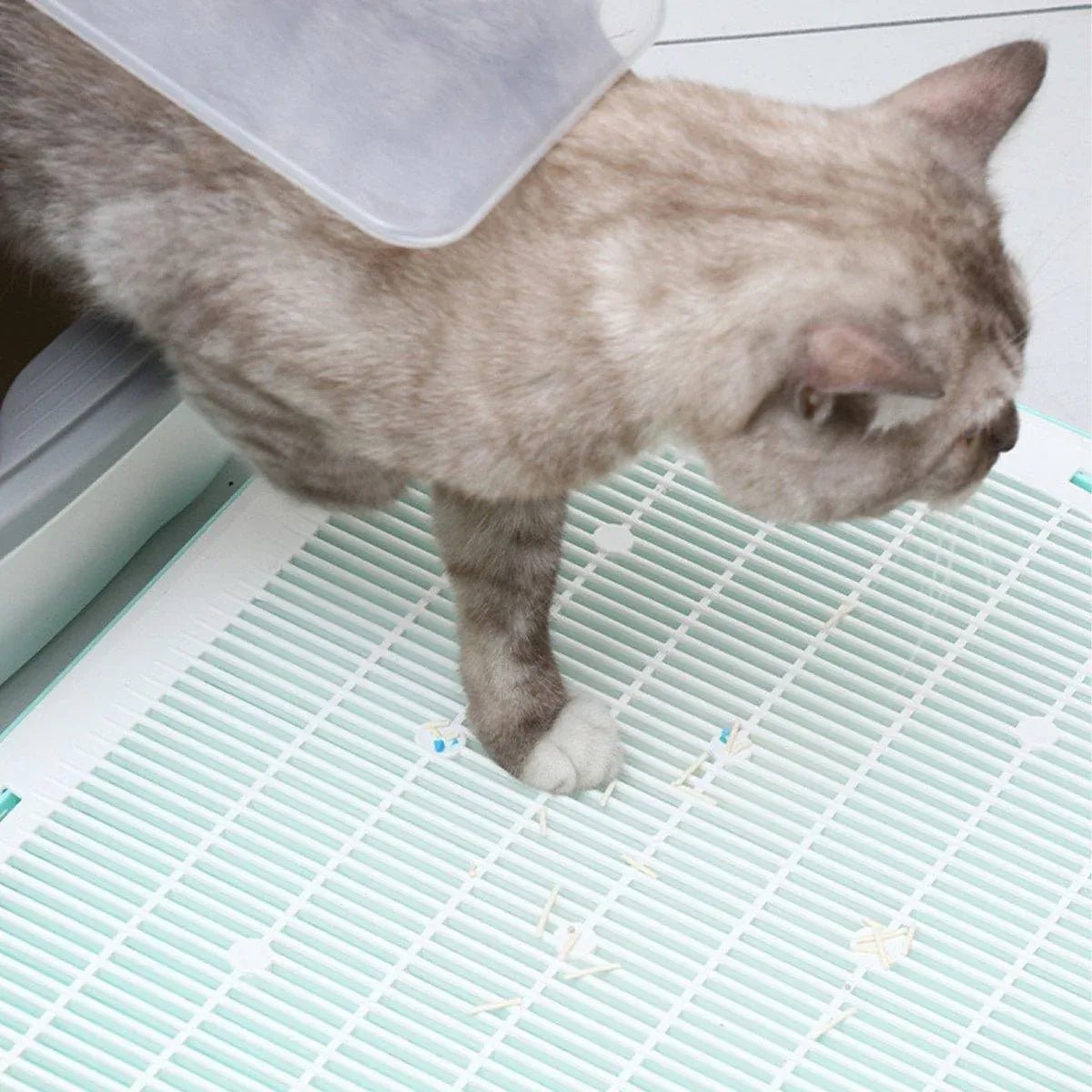 Cat Litter Trapping Mat - Coco & Harley - Pet Care > Cat Supplies > Cat Litter - V528-CAT-LITTER-MAT-GREEN-924210
