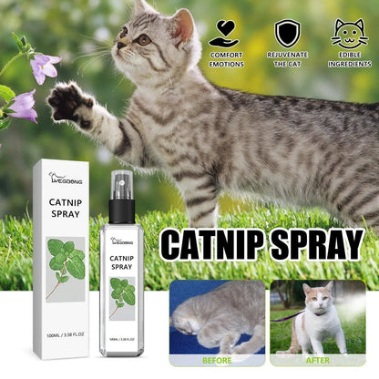 Catnip Spray