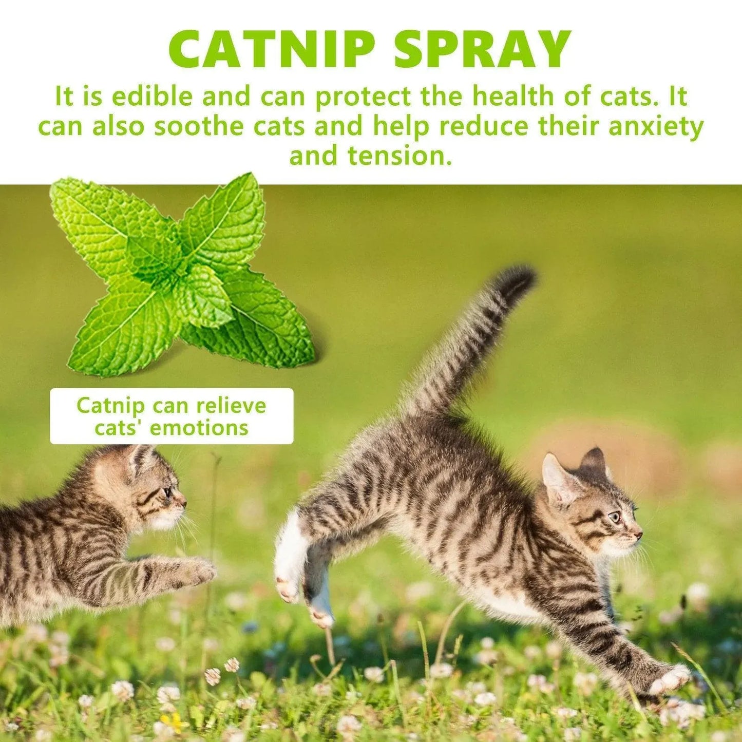 Catnip Spray