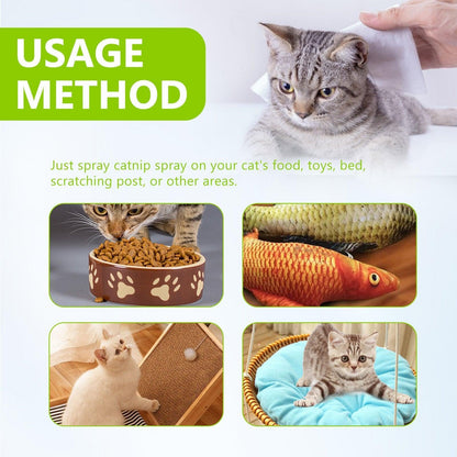 Instructions for using catnip spray with images of cats interacting with their environment.