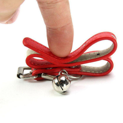 Red cat collar with a silver bell held by a hand on a white background