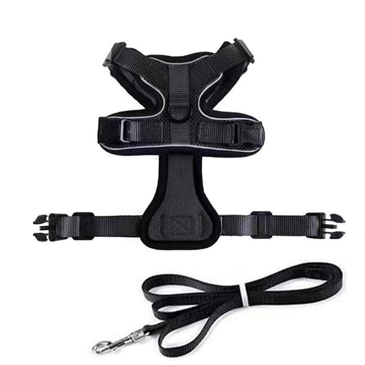 Black cat harness and leash set on a white background