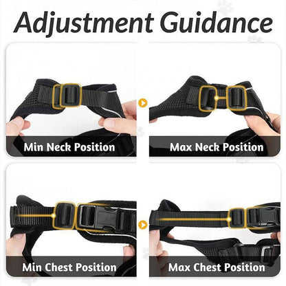 Adjustment guidance for a cat harness with min and max positions for neck and chest.