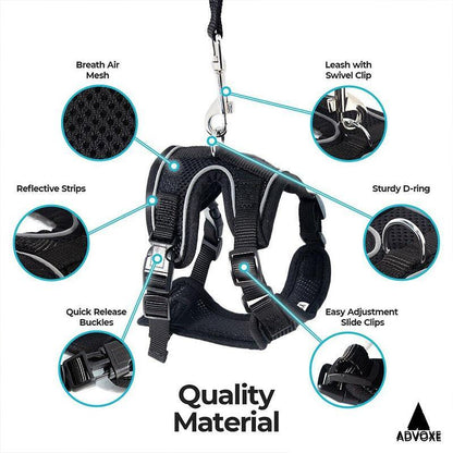 Cat harness with quality material features highlighted on a white background