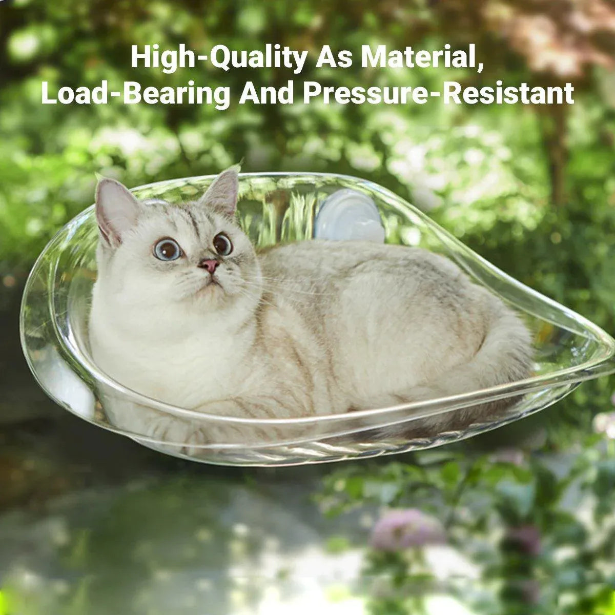Cat Clear Window Perch