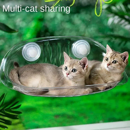 Cat Clear Window Perch
