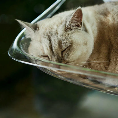 Cat Clear Window Perch