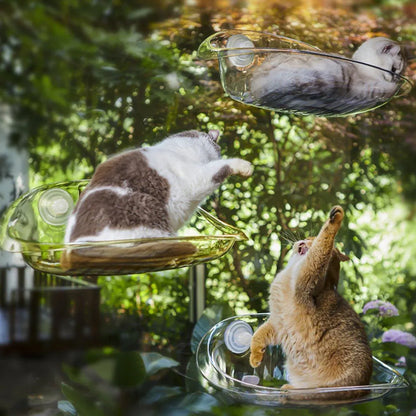 Cat Clear Window Perch
