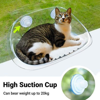 Cat sitting on a transparent elevated pet bed with high suction cups, grass background
